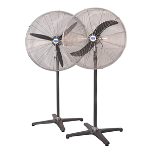 Pedestal Fan FS